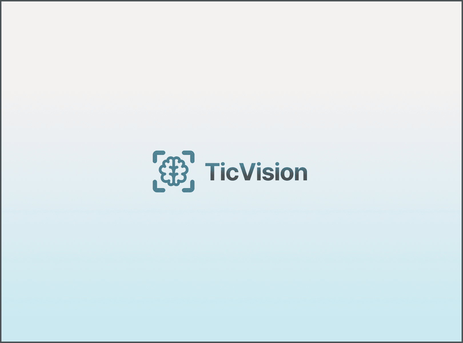 TicVision preview